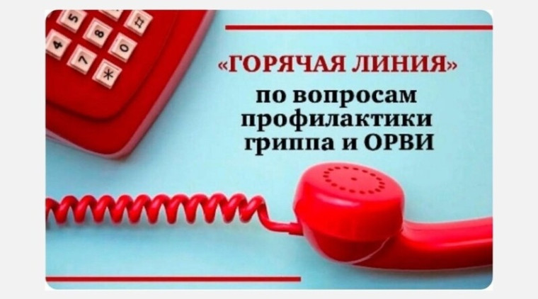 Горячая линия.